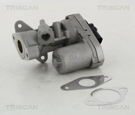 EGR Valve 8813 10002