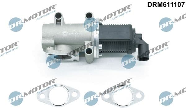 EGR Valve DRM611107