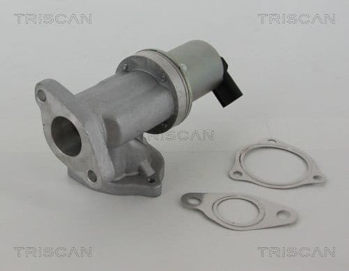 EGR Valve 8813 43002