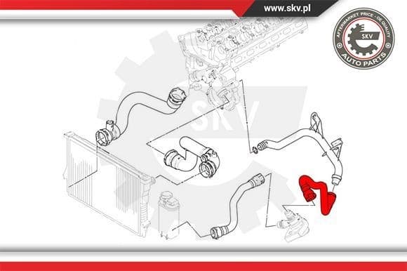 Radiator Hose 43SKV638 - image 4