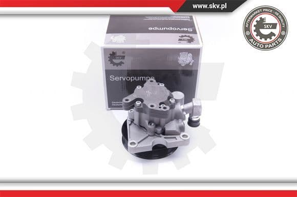 Hydraulic Pump, steering 10SKV273