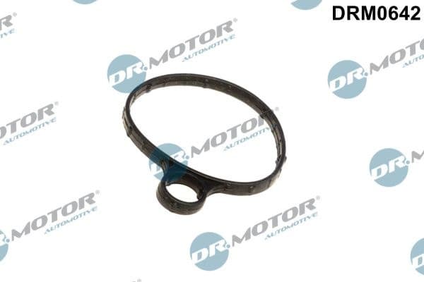 Gasket, vacuum pump DRM0642