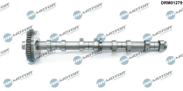 Camshaft DRM01279