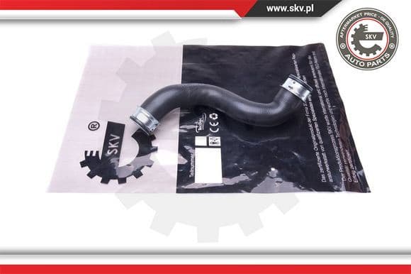 Radiator Hose 43SKV618
