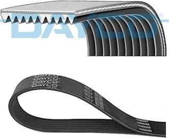 V-ribbed Belt 10PK1705HD