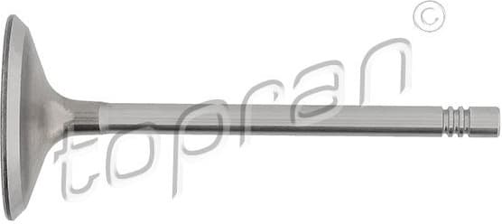 Intake Valve 109 684