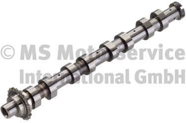Camshaft 50007574