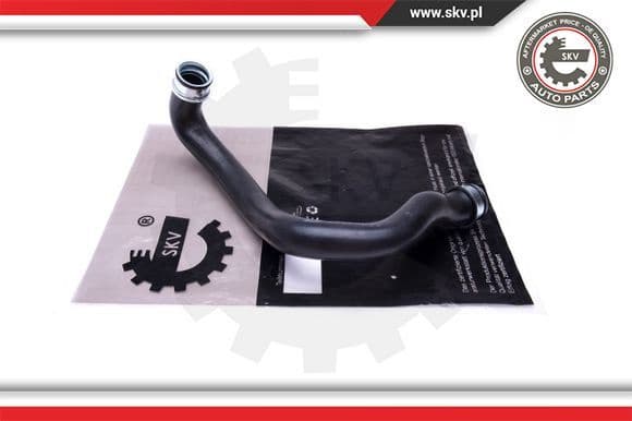 Radiator Hose 43SKV649