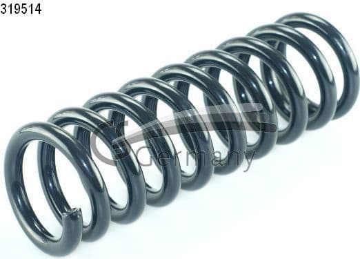 Suspension Spring 14319514