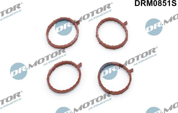 Gasket Set, intake manifold DRM0851S