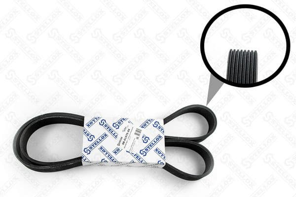 V-ribbed Belt 08-01575-SX