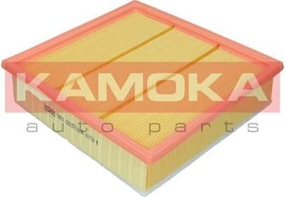 Air Filter F246701