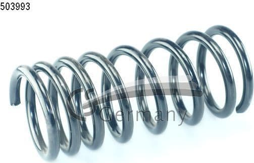 Suspension Spring 14503993
