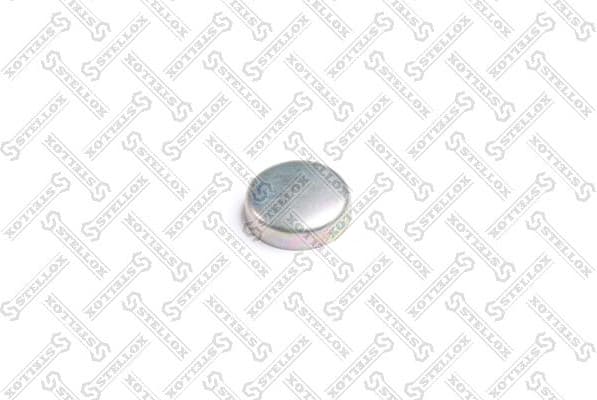 Screw Plug, crankcase 81-97304-SX