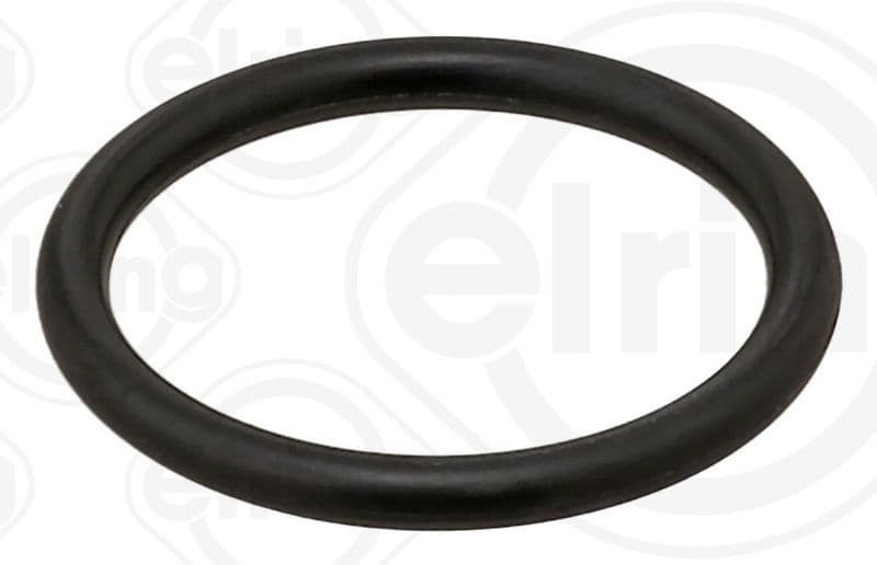 Seal Ring 747.060