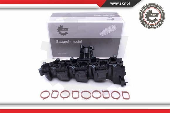 Intake Manifold Module 49SKV040