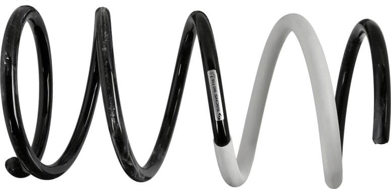 Suspension Spring 993 719