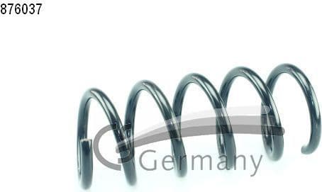 Suspension Spring 14876037