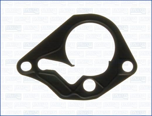 Gasket, vacuum pump 01019200