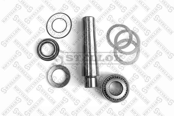 Repair Kit, kingpin 84-16025-SX