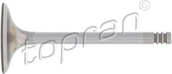 Intake Valve 101 599