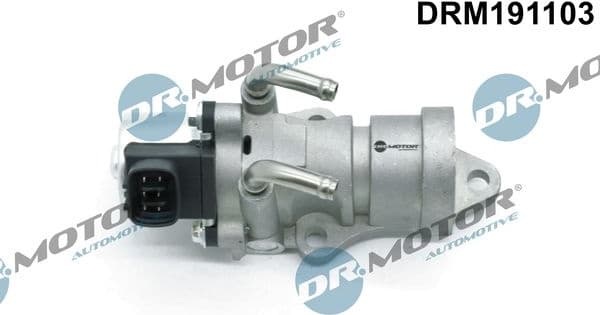 EGR Valve DRM191103