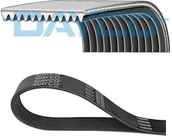 V-ribbed Belt 11PK2871HD