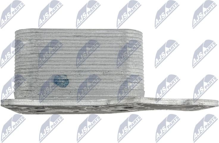 CCL-BM-024 - image 4