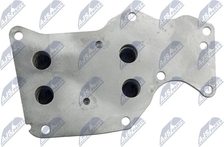 CCL-BM-024 - image 5