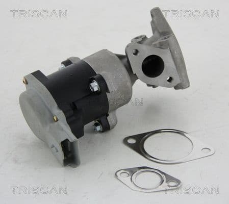 EGR Valve 8813 10008