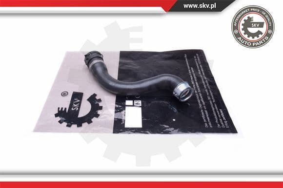 Radiator Hose 43SKV868
