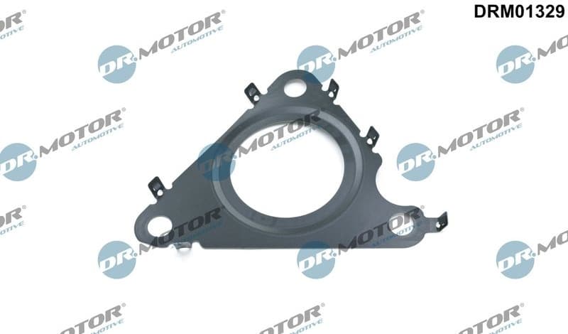 Gasket, EGR valve DRM01329