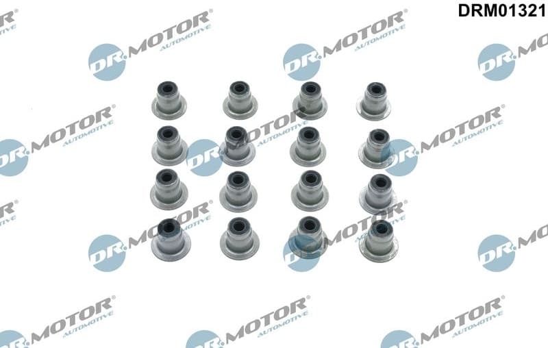 Seal Ring, valve stem DRM01321