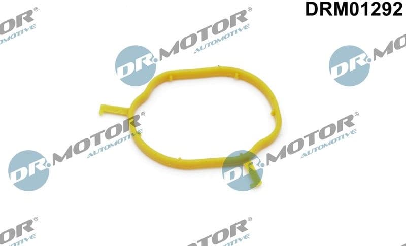 Gasket, coolant pipe DRM01292