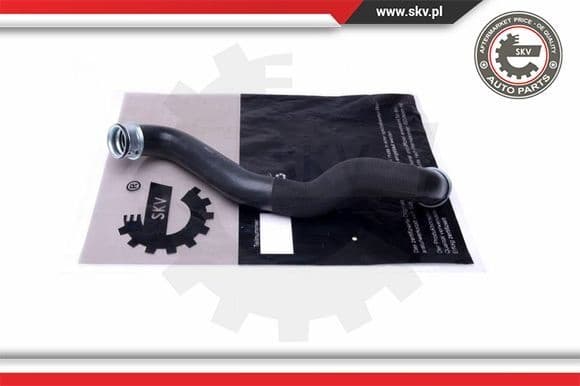 Radiator Hose 43SKV880