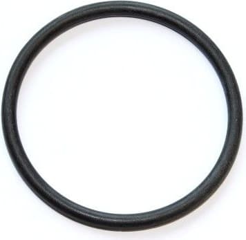 Seal Ring 025.880