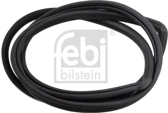 Seal, rear window 08872