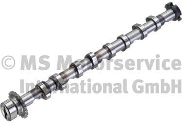 Camshaft 50007588