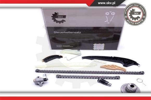 Timing Chain Kit 21SKV161