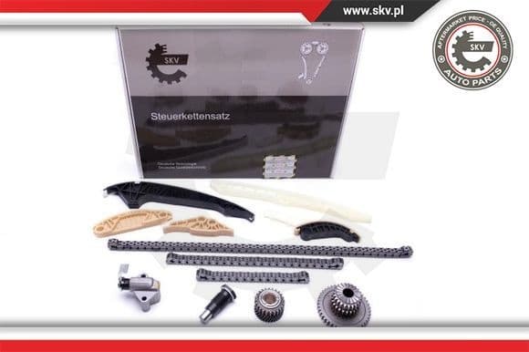 Timing Chain Kit 21SKV163