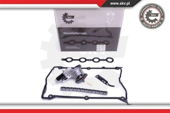 Timing Chain Kit 21SKV110