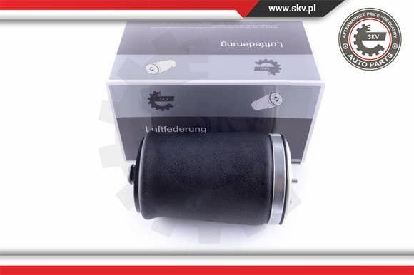 Air Spring, suspension 58SKV003