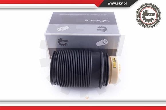 Air Spring, suspension 58SKV011