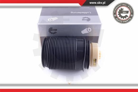 Air Spring, suspension 58SKV012
