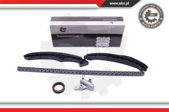 Timing Chain Kit 21SKV236
