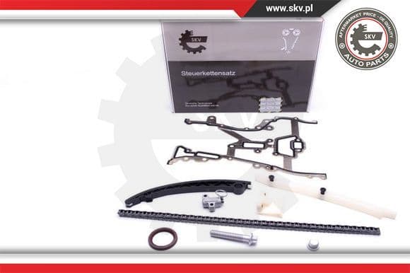 Timing Chain Kit 21SKV201