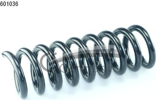 Suspension Spring 14601036