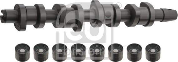 Camshaft Kit 33195