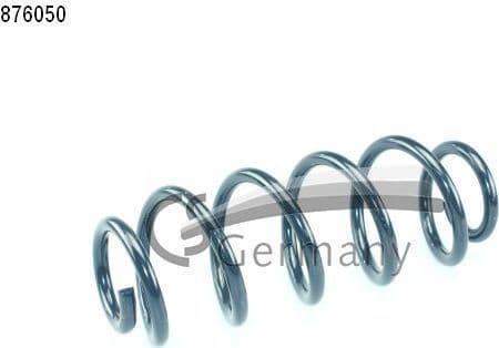 Suspension Spring 14876050