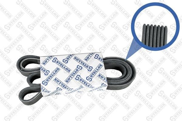 V-ribbed Belt 07-02120-SX